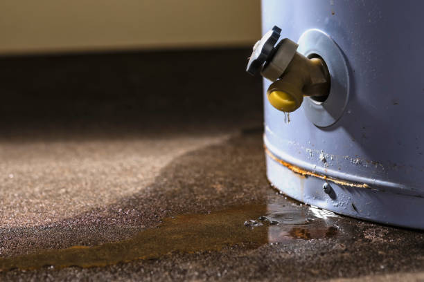 Best Basement water damage restoration  in Panhandle, TX