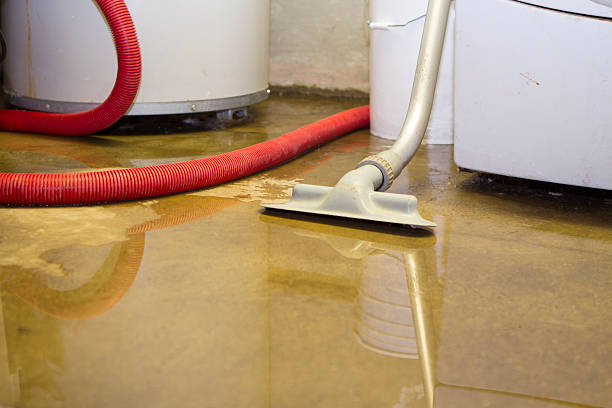 Best Commercial water damage restoration  in Panhandle, TX